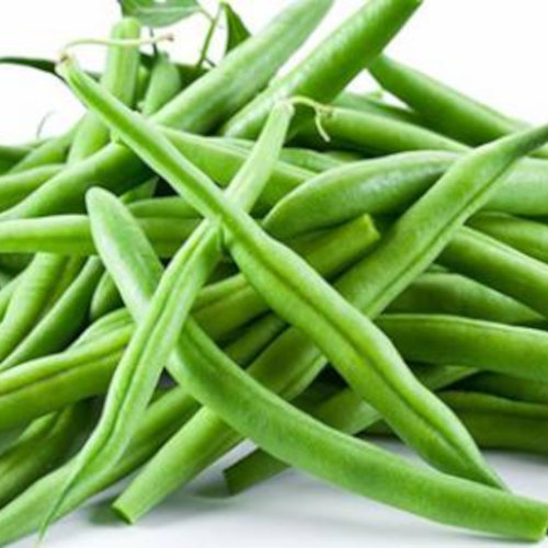 فاصوليا بلدية