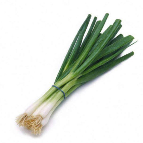 بصل اخضر